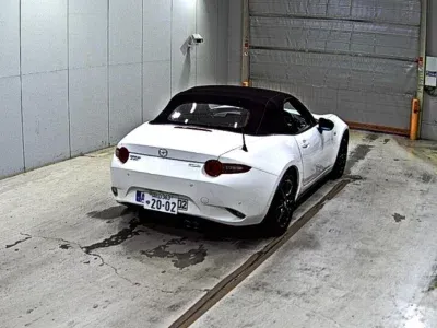 ND2, лот 4303